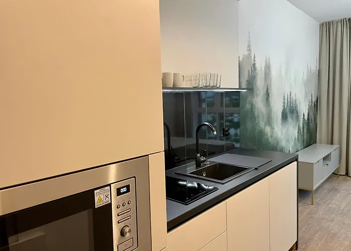 Apartamento 208 W Centrum Z Klimatyzacja *